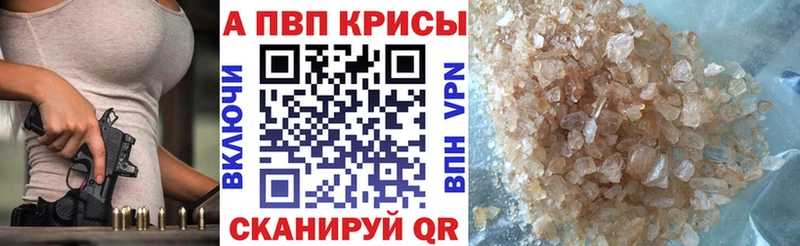 Альфа ПВП СК КРИС  Будённовск 