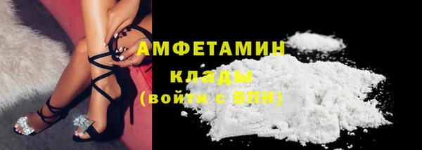 прущие крисы Ельня