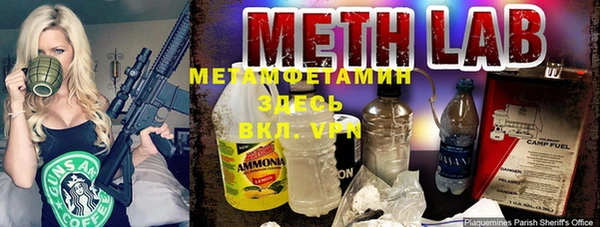прущие крисы Ельня