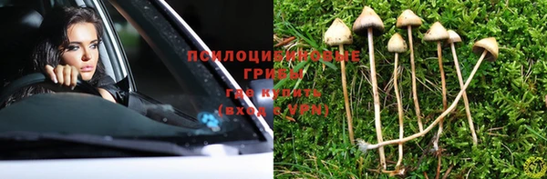 прущие крисы Ельня