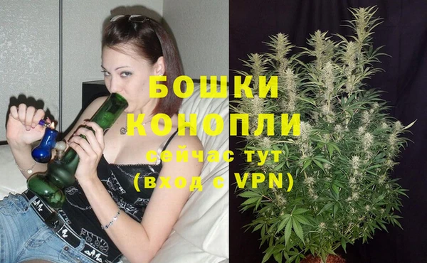 прущие крисы Ельня